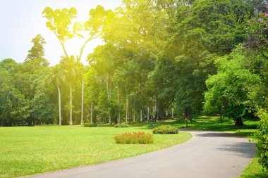 yolunu kullanarak landscaped park