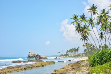 plaj, tropikal deniz ve taşlar