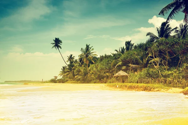 Вінтажний фон. Ретро тропічний пляж — стокове фото