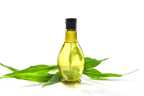 Spa treatment with bottle and green bamboo — Stock Photo, Image