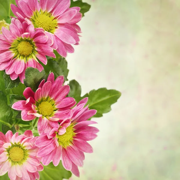 Vintage çiçek arka plan