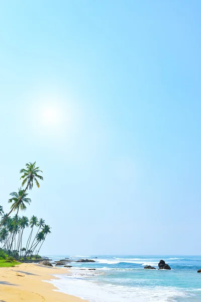 Tropische strand achtergrond — Stockfoto