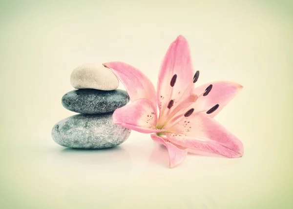 Fondo romántico de un spa con piedras y flores de lirio en tonos pastel — Foto de Stock