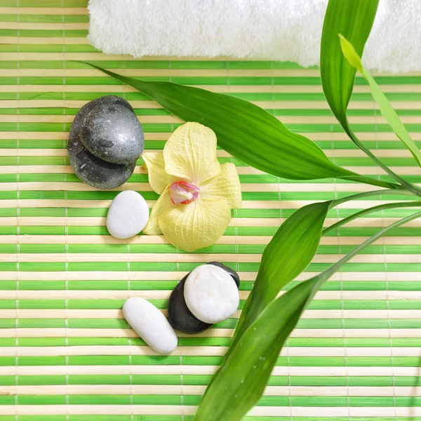 Spa kezelés a kövek, orchidea virág és zöld bambusz. szemközti nézet. Jogdíjmentes Stock Képek