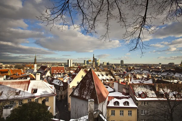 Вид на старый город Таллинн. Эстония — стоковое фото