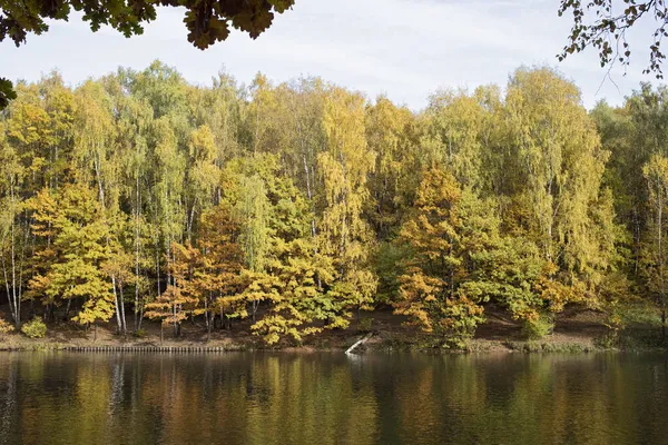 Озеро Парку Жовтий Осінній Ліс — стокове фото