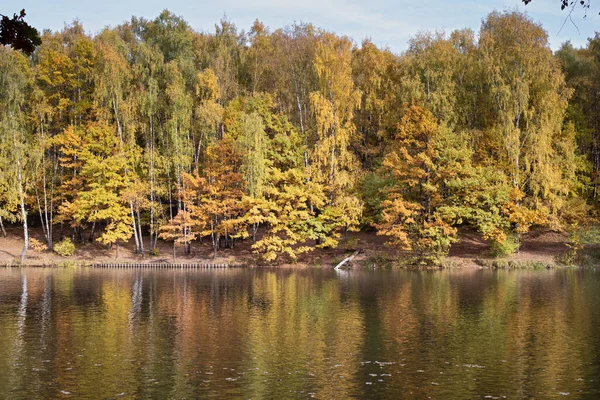 Parque Otoño Árboles Amarillos Reflejados Agua —  Fotos de Stock