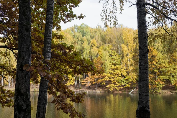 Φθινοπωρινό Πάρκο Κίτρινα Δέντρα Αντανακλάται Στο Νερό — Φωτογραφία Αρχείου