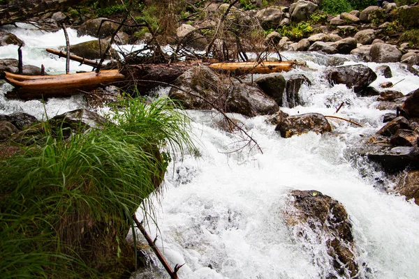 L'écoulement de l'eau dans une rivière de montagne claire. Protection de l'environnement. — Photo