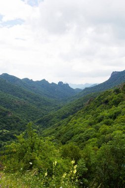 Kafkasya Dağları. Yazın dağ zirveleri