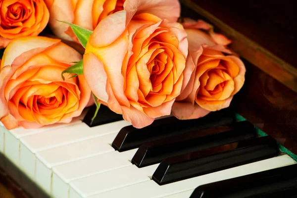 Bukiet różowych róż na klawiaturze fortepianu, romantyczna atmosfera. Prezent od fanów.. — Zdjęcie stockowe