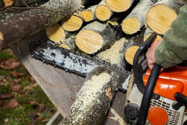 Yakın çekim profesyonel testere bıçak kesim günlük ahşap