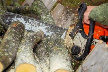 Yakın çekim profesyonel testere bıçak kesim günlük ahşap