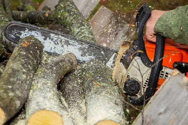 Yakın çekim profesyonel testere bıçak kesim günlük ahşap