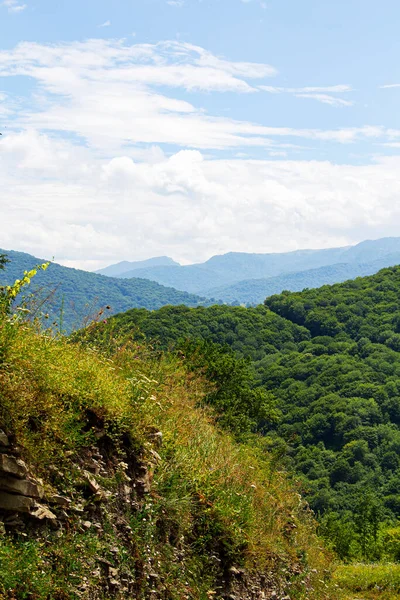 Kafkasya Dağları. Yazın dağ zirveleri.