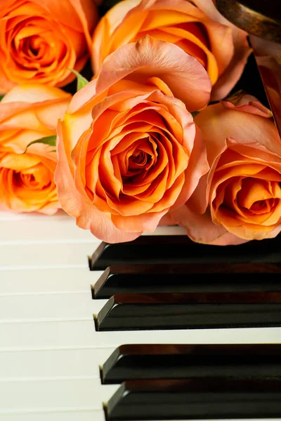 Bukett rosa rosor på pianots tangentbord, romantisk atmosfär. En gåva från fans. — Stockfoto
