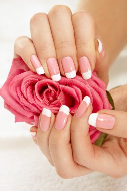 Hands with a rose clipart