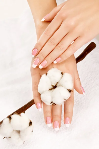 Hands with cotton crop — Stock Photo, Image