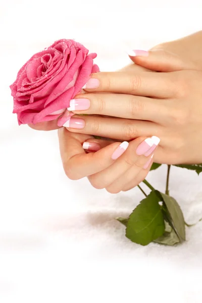 Mani con una rosa — Foto Stock