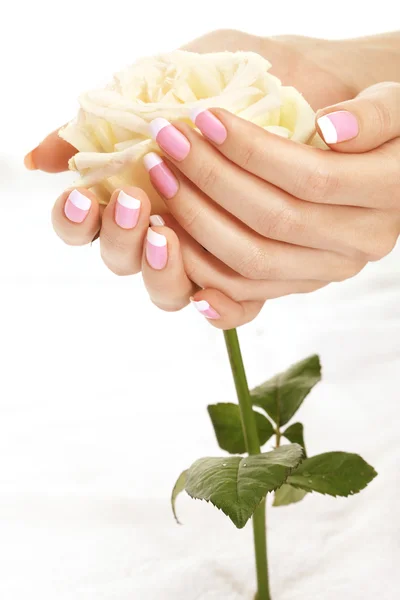 Mani con una rosa — Foto Stock