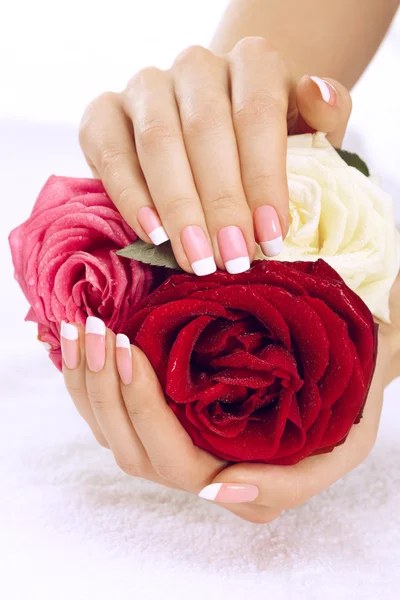 Hands with roses Stock Picture