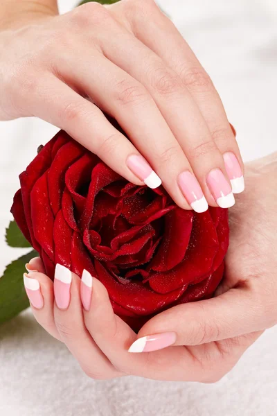 Roze Franse manicure — Stockfoto