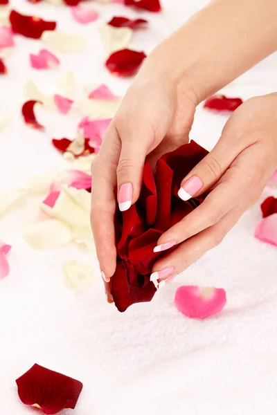 Roze Franse manicure — Stockfoto