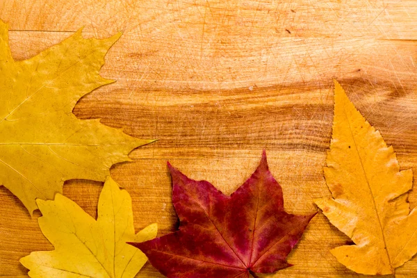 秋天的叶子盖在木制背景上 — 图库照片