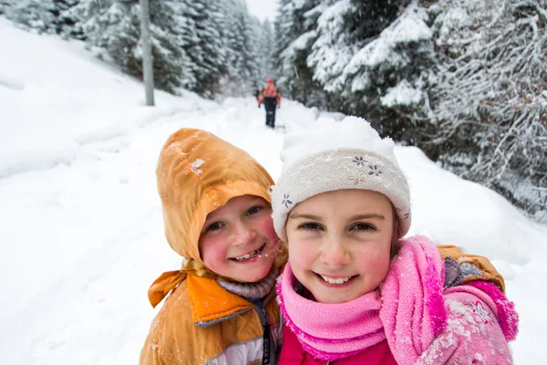 Две маленькие девочки в снежном лесу — стоковое фото