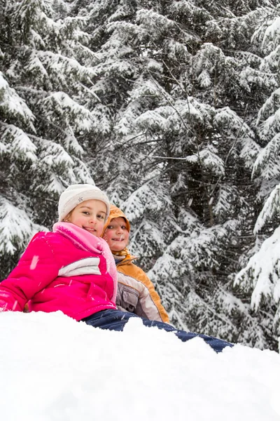 Iki küçük kız snowy orman — Stok fotoğraf