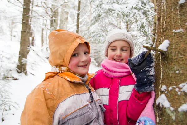 Två små flickor i snöiga skogen — Stockfoto