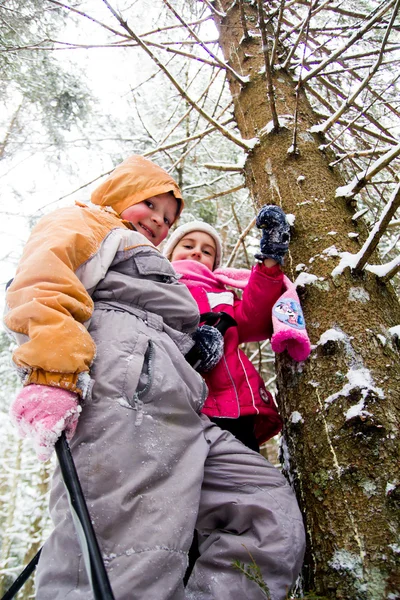 Duas meninas na floresta nevada — Fotografia de Stock
