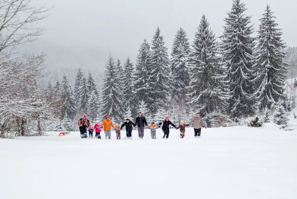 雪の中で楽しさを持っている家族 — ストック写真