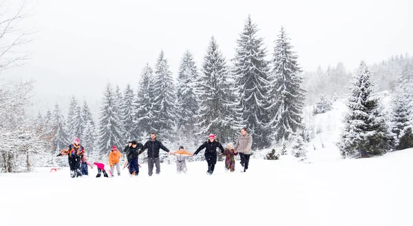 雪の中で楽しさを持っている家族 — ストック写真