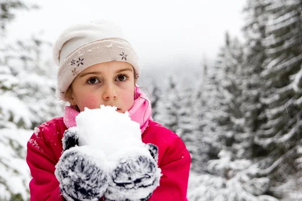 Little girl spenting a nice time in snowy forest Royalty Free Stock Photos