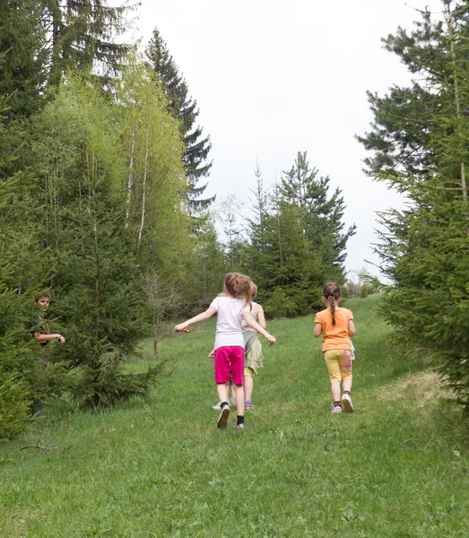 Children spending time in the forest — Stock Photo, Image