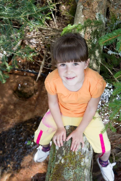 Petite fille assise sur un arbre — Photo