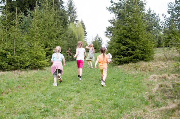 Kinderen tijd doorbrengen in het bos — Stockfoto