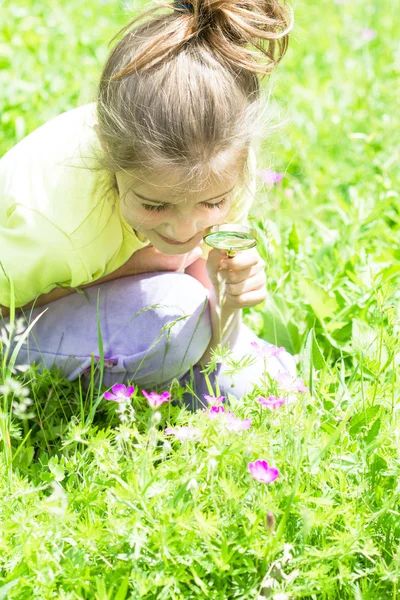 Çiçeklere bakarak büyüteç ile kız — Stok fotoğraf