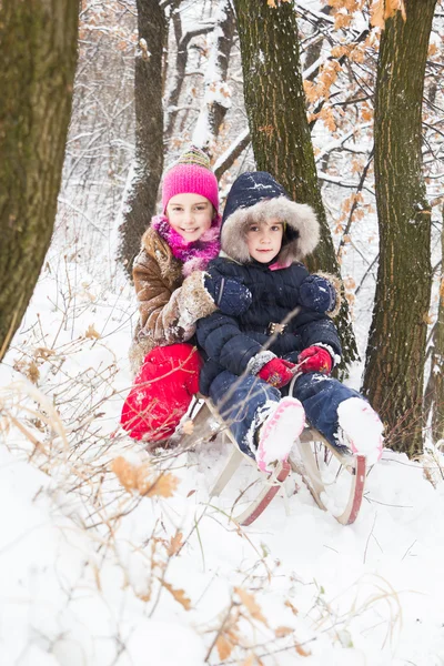 Two little girls having fun in winter — Stock Photo, Image