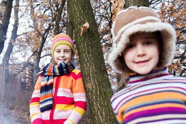 2 つのリトル シスター女の子抱擁と森で遊ぶ ストック写真