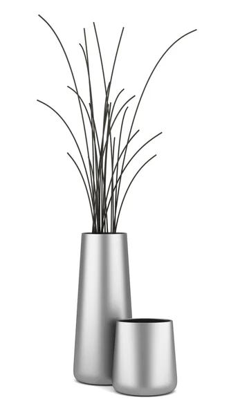 Deux vases chromés avec du bois sec isolé sur fond blanc — Photo
