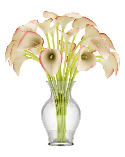 Bouquet of calla lilies in glass vase isolated on white background — Stock Photo, Image