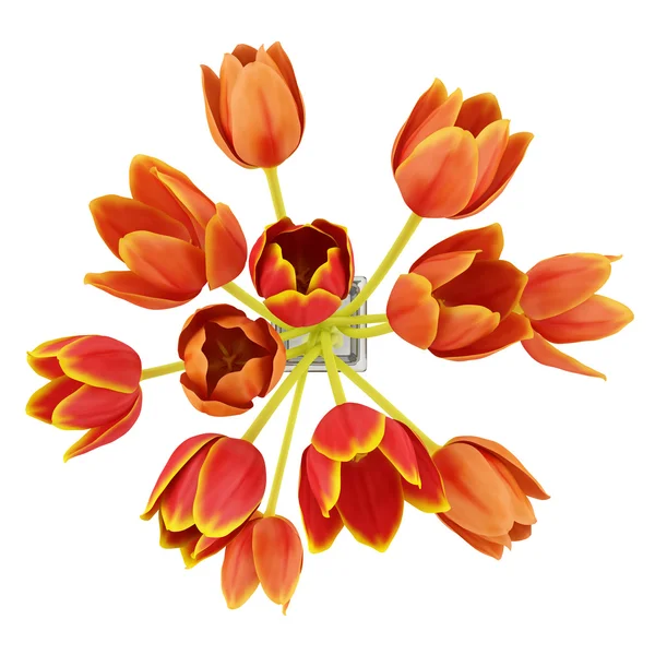 Bovenaanzicht boeket van Oranje tulpen in de vaas geïsoleerd op witte achtergrond — Stockfoto