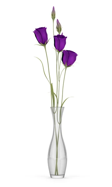 白い背景で隔離ガラス花瓶に紫トルコギキョウの花 — ストック写真