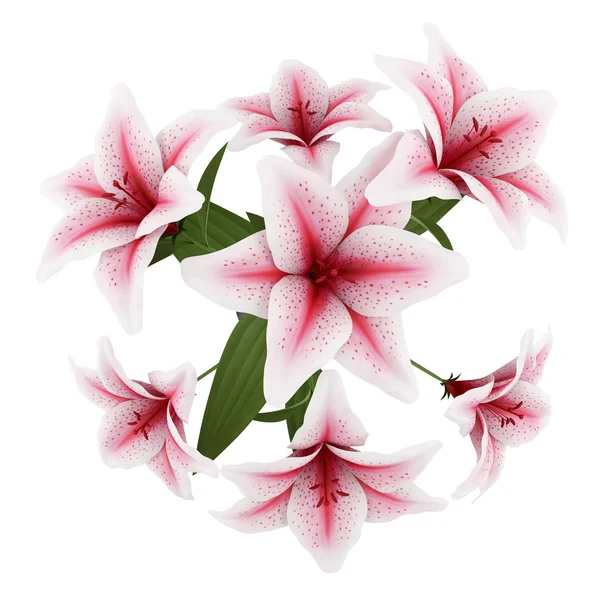 Top view of bouquet of pink lilies isolated on white background — Stock Photo, Image