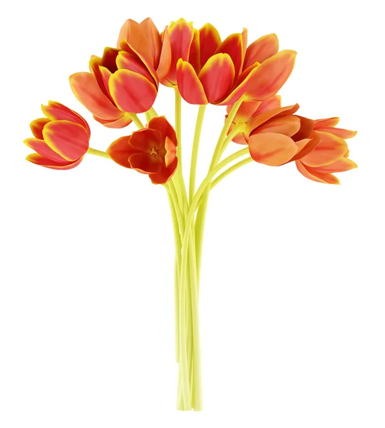 Boeket van Oranje tulpen geïsoleerd op witte achtergrond — Stockfoto