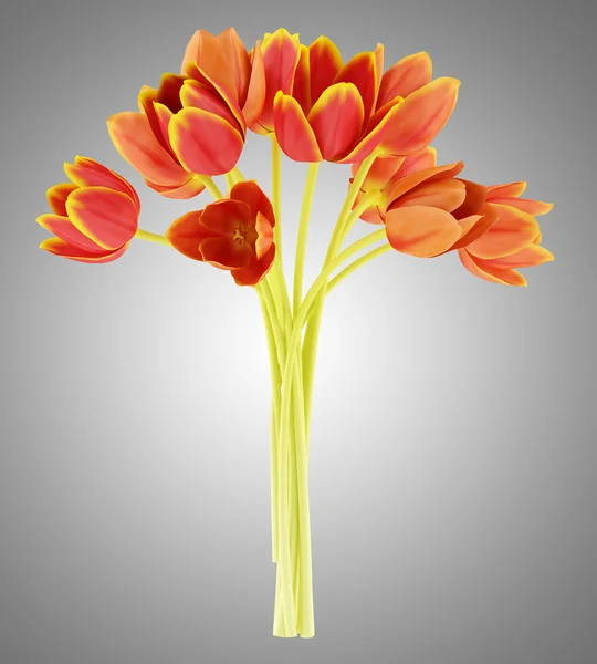 灰色の背景に分離されたオレンジ色のチューリップの花束 — ストック写真