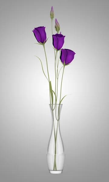 Purple eustoma flowers in glass vase isolated on gray background — Stock Photo, Image