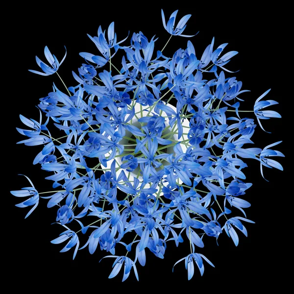 Vue de dessus des fleurs bleues dans un vase isolé sur fond noir — Photo